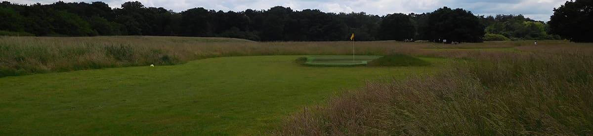 A mown fairway running up to an Astroturf green with a yellow flag on it, rough grass on both sides and a wood behind